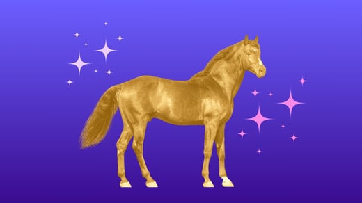 Unicorns vs. Horses: Who is Winning in 2025?